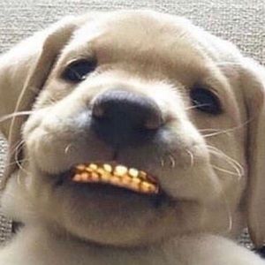 Meet your Posher, Victor